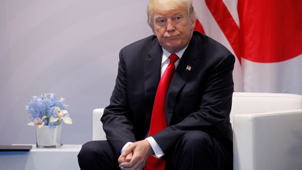 ABD Başkanı Donald Trump, G20 Zirvesi'nde - Sputnik Türkiye