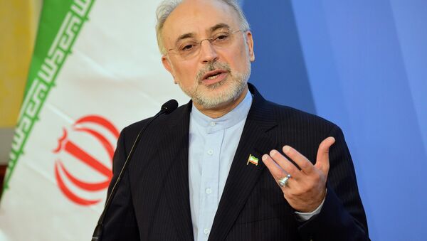 İran Atom Enerjisi Örgütü Başkanı Ali Ekber Salihi - Sputnik Türkiye