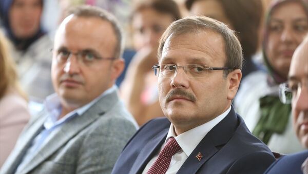 Başbakan Yardımcısı Hakan Çavuşoğlu - Sputnik Türkiye