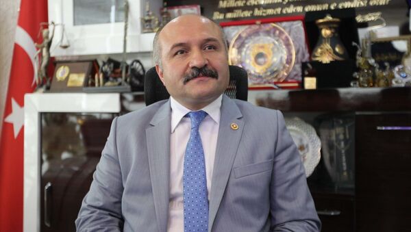 MHP Grup Başkanvekili Erhan Usta - Sputnik Türkiye