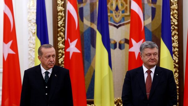 Cumhurbaşkanı Recep Tayyip Erdoğan ile Ukrayna Devlet Başkanı Petro Poroşenko - Sputnik Türkiye