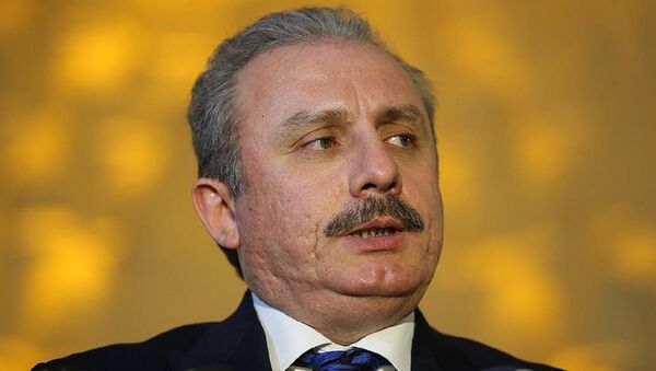 AK Parti İstanbul Milletvekili TBMM Anayasa Komisyonu Başkanı Mustafa Şentop - Sputnik Türkiye