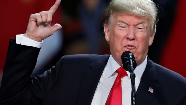 Donald Trump You're fired Pensacola, Florida mitingi - Sputnik Türkiye