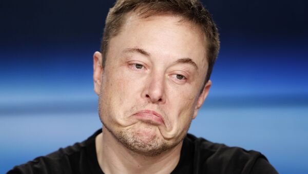 Tesla'nın CEO'su Elon Musk - Sputnik Türkiye