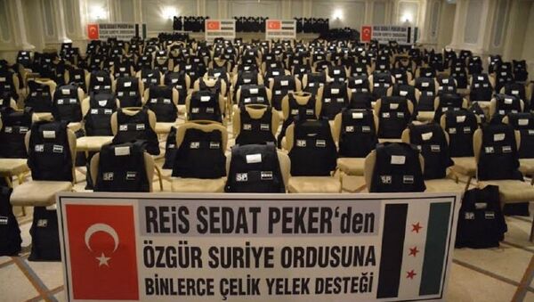 Sedat Peker'den ÖSO'ya çelik yelek - Sputnik Türkiye