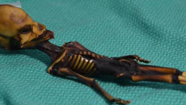 Şili'nin Atacama Çölü'nde bulunan 'Ata' adlı mumyalanmış insan fetüsü - Sputnik Türkiye