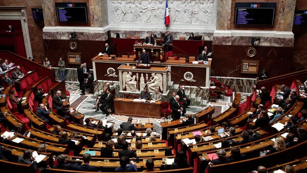 Fransa'da meclis Suriye operasyonunu tartıştı - Sputnik Türkiye