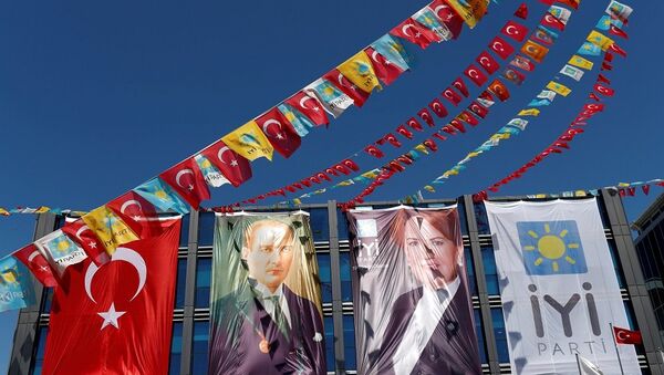 İYİ Parti, Meral Akşener - Sputnik Türkiye