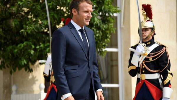Fransa Cumhurbaşkanı Emmanuel Macron, Élysée (Elize) Sarayı'nda - Sputnik Türkiye
