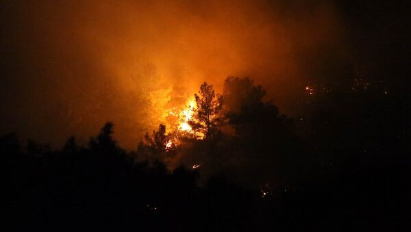 Antalya'da üç ayrı noktada orman yangını çıktı - Sputnik Türkiye