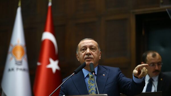 Recep Tayyip Erdoğan -  AK Parti - Sputnik Türkiye