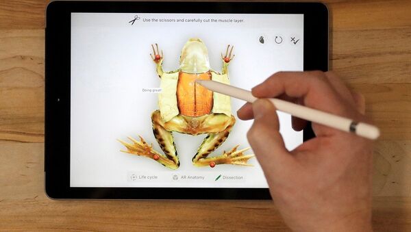 iPad 9.7 - Sputnik Türkiye
