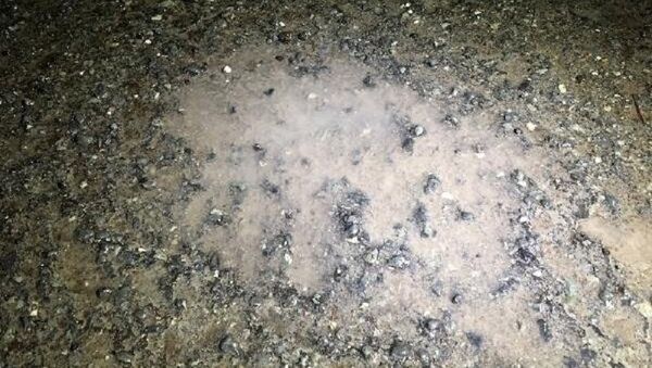 Sarıyer'de bir kamyon mahalleye kimyasal madde boşalttı iddiası: 'Adam buraya asit döktü, kaçtı gitti' - Sputnik Türkiye