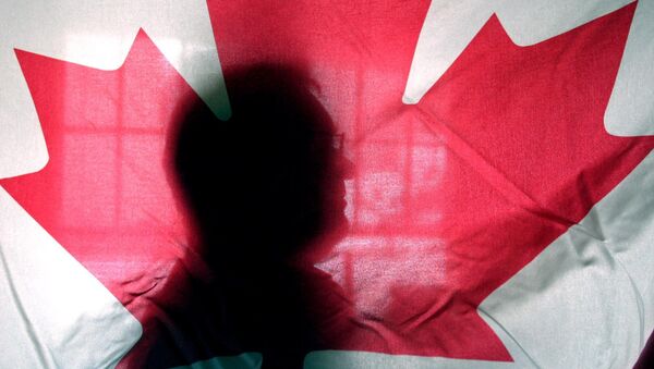 Andre Senecal, silhouetted behind a Canadian flag, Feb. 10, 2004, has been trying to get Americans to understand that Canada is more than polar bears, red-coated constables, hockey and long winters, introducing students to some of the intricacies of the European style of government. - Sputnik Türkiye
