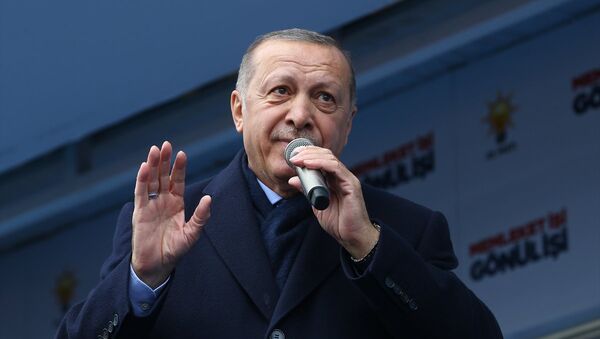 Recep Tayyip Erdoğan - el - Sputnik Türkiye
