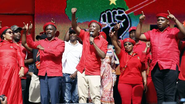 Güney Afirka Ekonomik Özgürlük Savaşçıları (Economic Freedom Fighters-EFF) lideri Julius Malema - Sputnik Türkiye