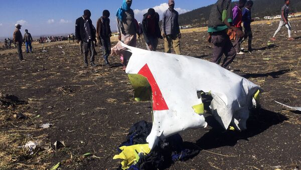 Etiyopya'da uçak kazası - Sputnik Türkiye