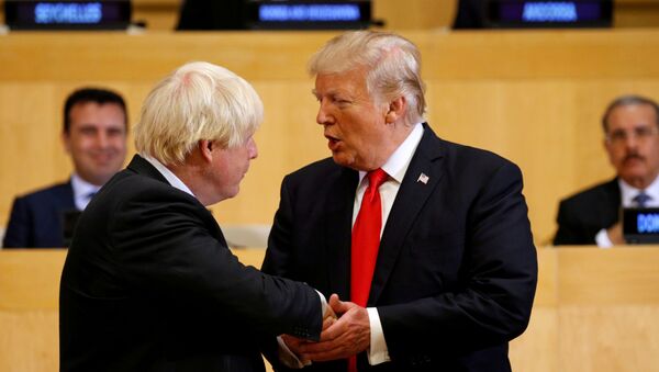 ABD Başkanı Trump, İngiltere Başbakanı  Johnson - Sputnik Türkiye