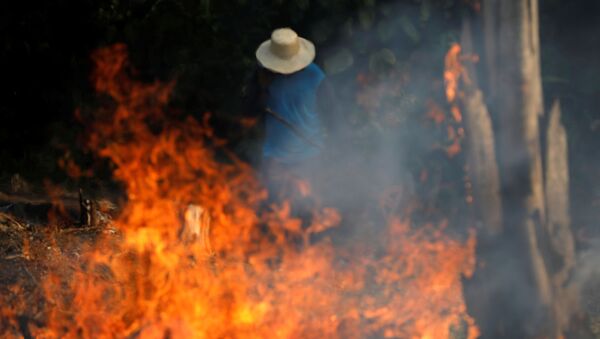 Brezilya'da kasıtlı yangın çıkarılan Amazon ormanları, kerestecilik, çiftçilik ve madencilikle yağmalanıyor. - Sputnik Türkiye