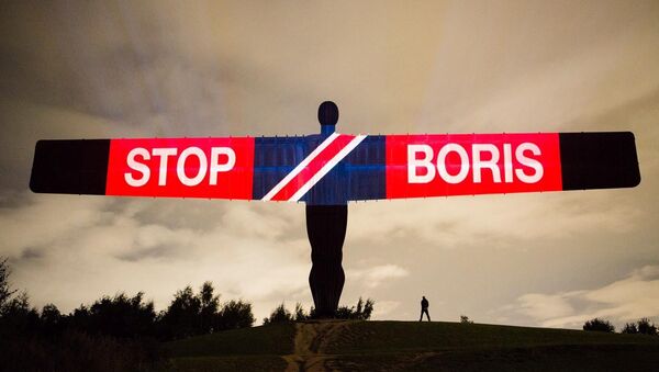 'Kuzeyin Meleği' heykeline Brexit ve Boris Johnson karşıtı mesajlar yansıtıldı, Britanya, Gateshead, 3 Eylül 2019 - Sputnik Türkiye