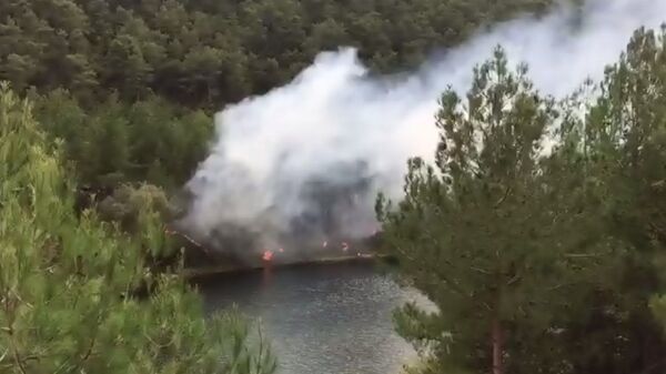 Samsun’un Bafra ilçesinde sorumsuz piknikçiler ormanlık alanda yangın çıkardı - Sputnik Türkiye