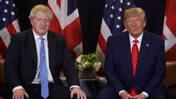 Trump, İngiltere Başbakanı Johnson ile görüştü - Sputnik Türkiye
