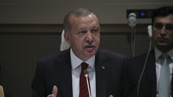 Recep Tayyip Erdoğan, ABD - Sputnik Türkiye