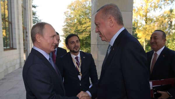 Erdoğan ile Putin'in Soçi'deki görüşmesinden kareler - Sputnik Türkiye