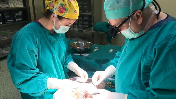 Malatya İnönü Üniversitesi Turgut Özal Tıp Merkezi’nde her yıl 300 civarında karaciğer naklinin yanısıra böbrek, ince bağırsak ve pankreas nakli de yapılıyor. - Sputnik Türkiye