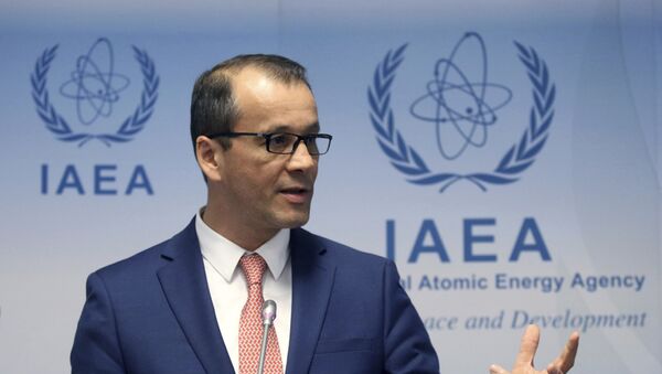 Uluslararası Atom Enerjisi Ajansı (UAEA) geçici Başkanı Cornel Feruta - Sputnik Türkiye