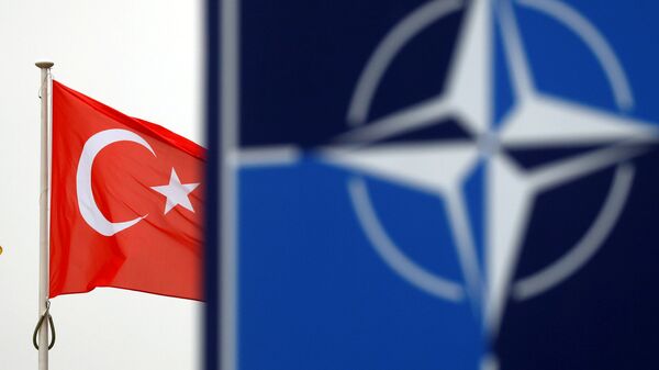 Türkiye - NATO - Sputnik Türkiye
