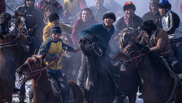Kırgızistan'da kök börü yarışması - Sputnik Türkiye
