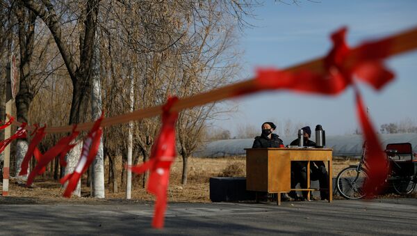 Çin'de koronovirüs salgınının merkezi Hubey eyaletine komşu köyler, yolları kapatıp kontrol noktaları kuruyor. - Sputnik Türkiye