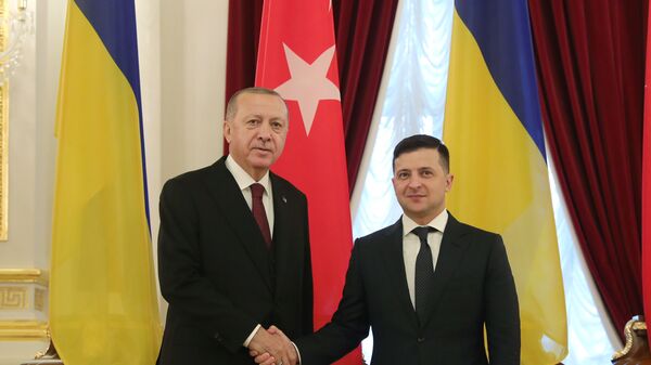 Cumhurbaşkanı Recep Tayyip Erdoğan ve Ukrayna Devlet Başkanı Zelenskiy ortak basın açıklaması düzenledi - Sputnik Türkiye