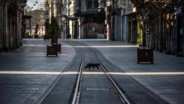 Yasak sonrası İstanbul'da cadde ve sokaklar boş kaldı - Sputnik Türkiye