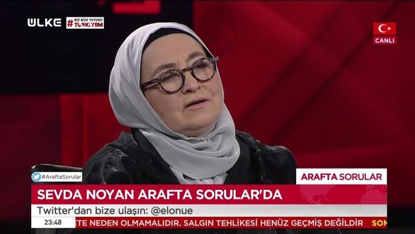 Yazar Sevda Noyan - Sputnik Türkiye