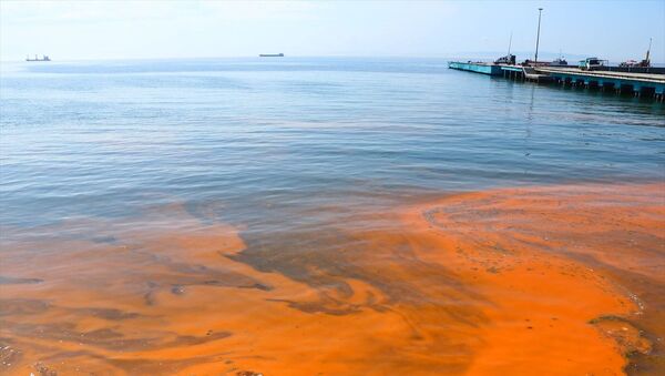 Planktonların çoğalmasıyla Marmara Denizi turuncuya büründü - Sputnik Türkiye