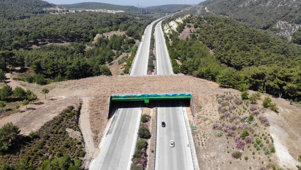 İzmir-Çeşme Otoyolu'nda yaban hayvanlarını korumak için yapılan ekolojik köprü tamamlandı.  - Sputnik Türkiye